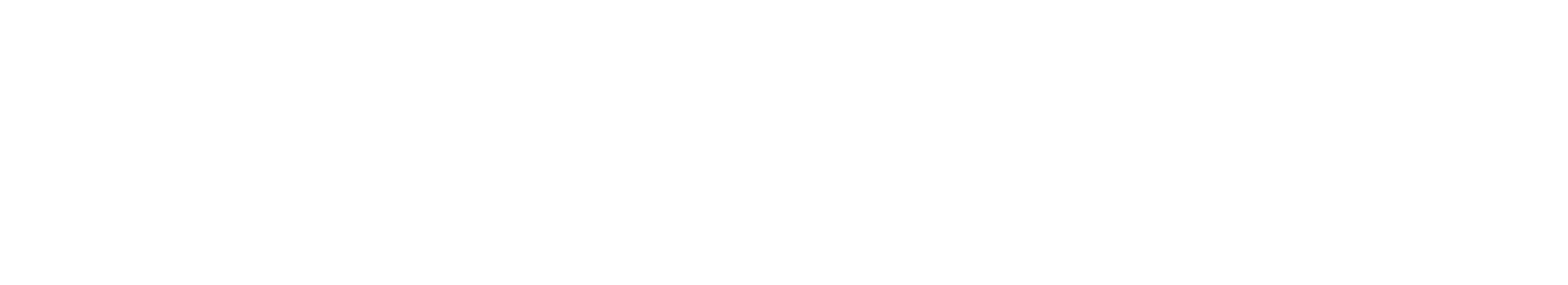 Baptist Care SA White Logo